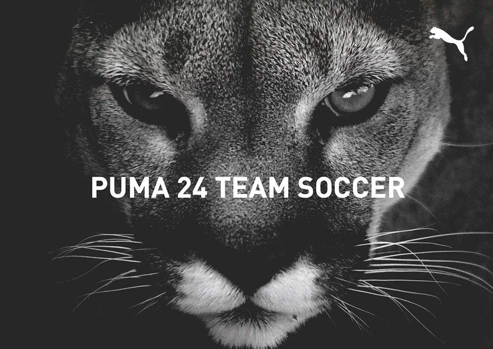 Puma Team Soccer